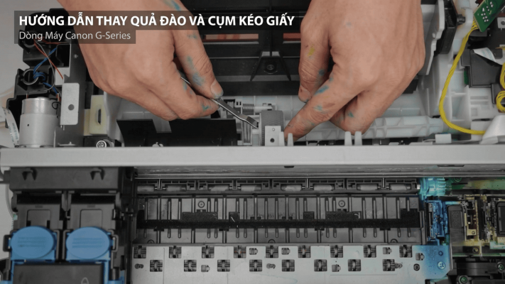Lỗi Kéo Giấy Trên Máy In Canon G1010, G2010, G3010
